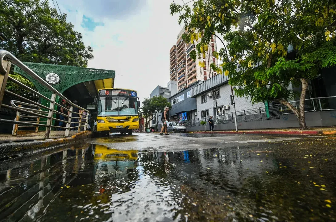 Tiempo en Misiones: se espera que caiga hasta 96 mm de lluvia para este jueves