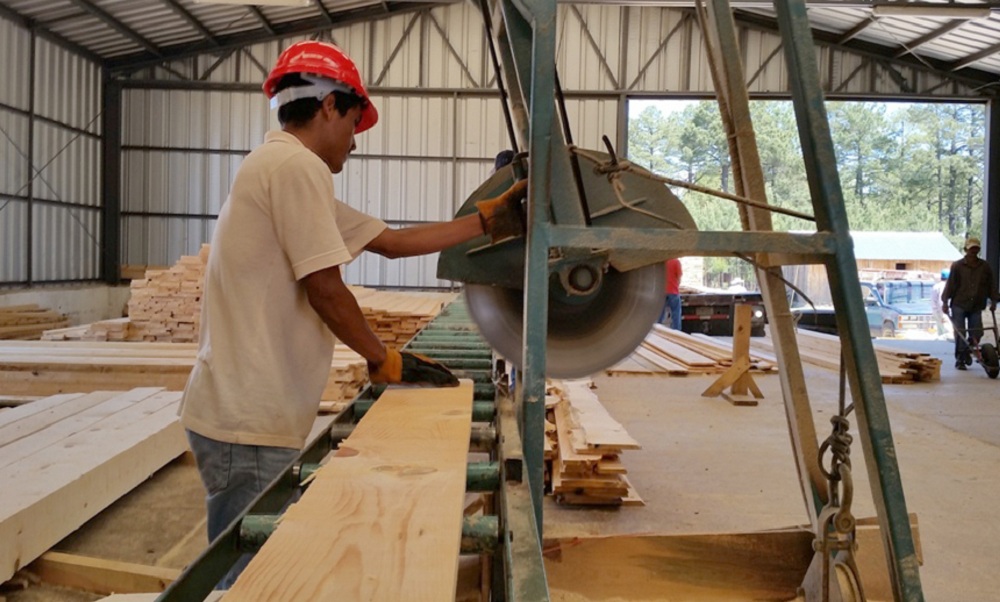 La economía nacional golpea a las pymes madereras de todo el país, ajustes laborales y endeudamiento para sobrevivir