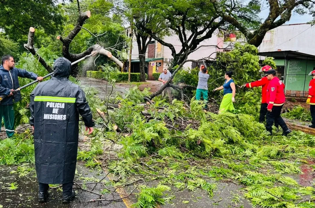 Amplio operativo en conjunto entre municipio, bomberos y Energía de Misiones por la tormenta en Posadas
