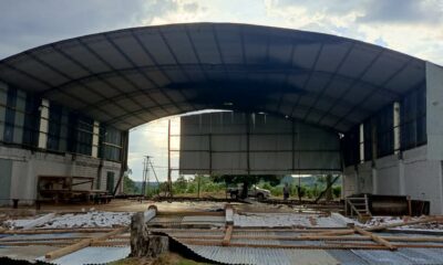 Fuerte temporal en Colonia Aurora causó destrozos en construcciones y la caída de árboles