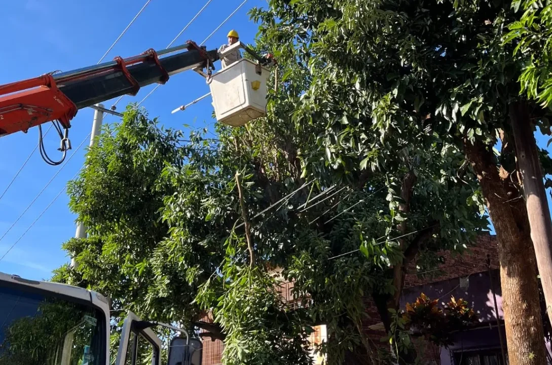 Energía de Misiones refuerza la red eléctrica con operativos de mantenimiento en toda la provincia