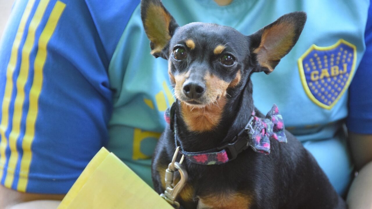 El IMUSA mantiene los controles sanitarios en los barrios