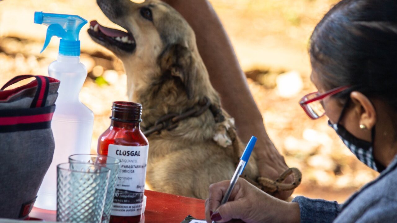 El IMUSA despliega operativos integrales con eje en prevención