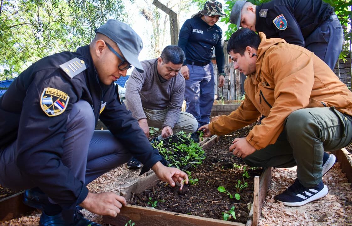 Fortalecimiento de huertas para la producción de alimentos