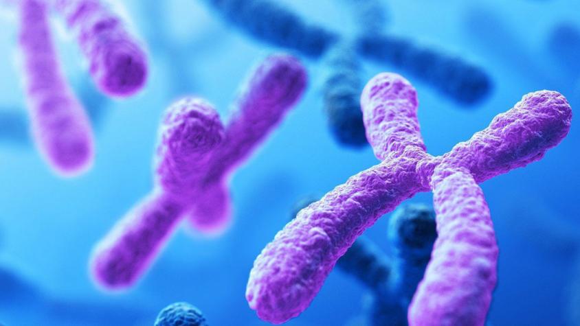 Científicos japoneses logran eliminar cromosoma extra del síndrome de Down