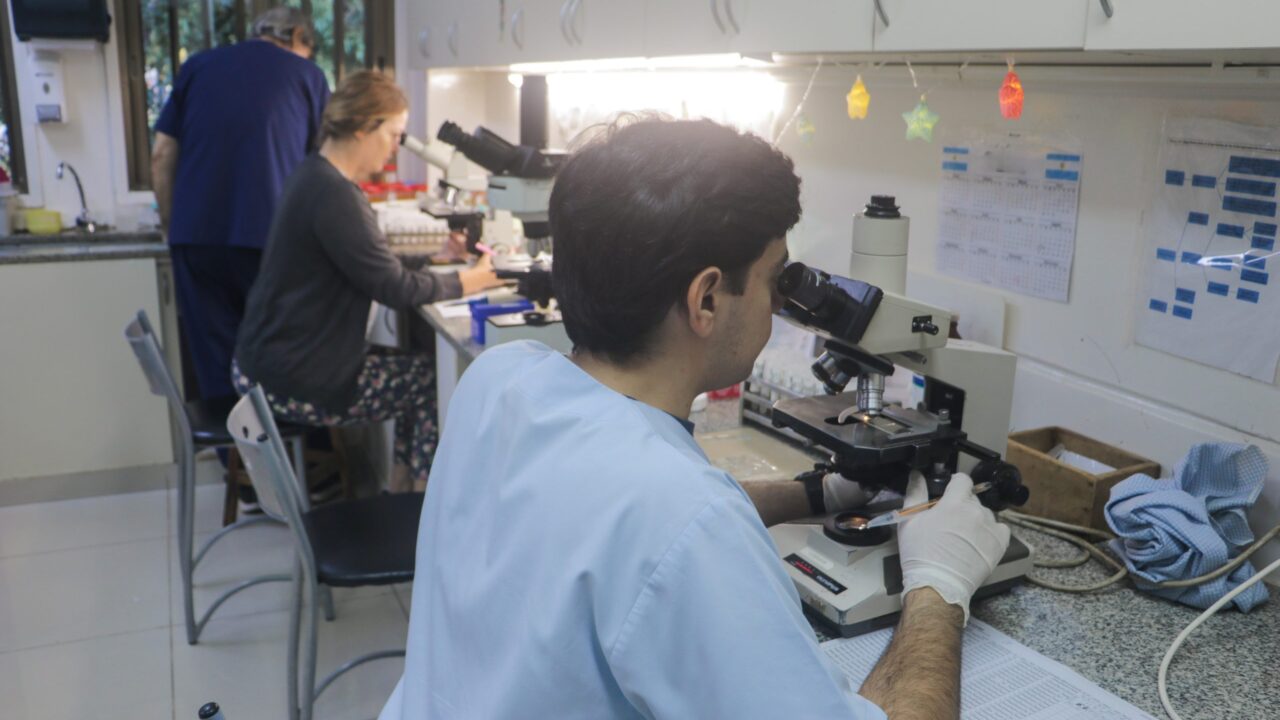 El Instituto Misionero del Cáncer avanza con ensayos clínicos y fortalece el desarrollo científico provincial