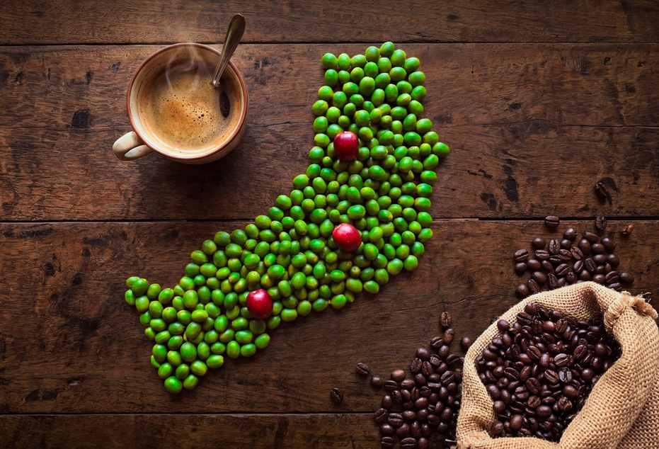 Proponen crear por ley un programa para fomentar el cultivo y la industria del café en Misiones