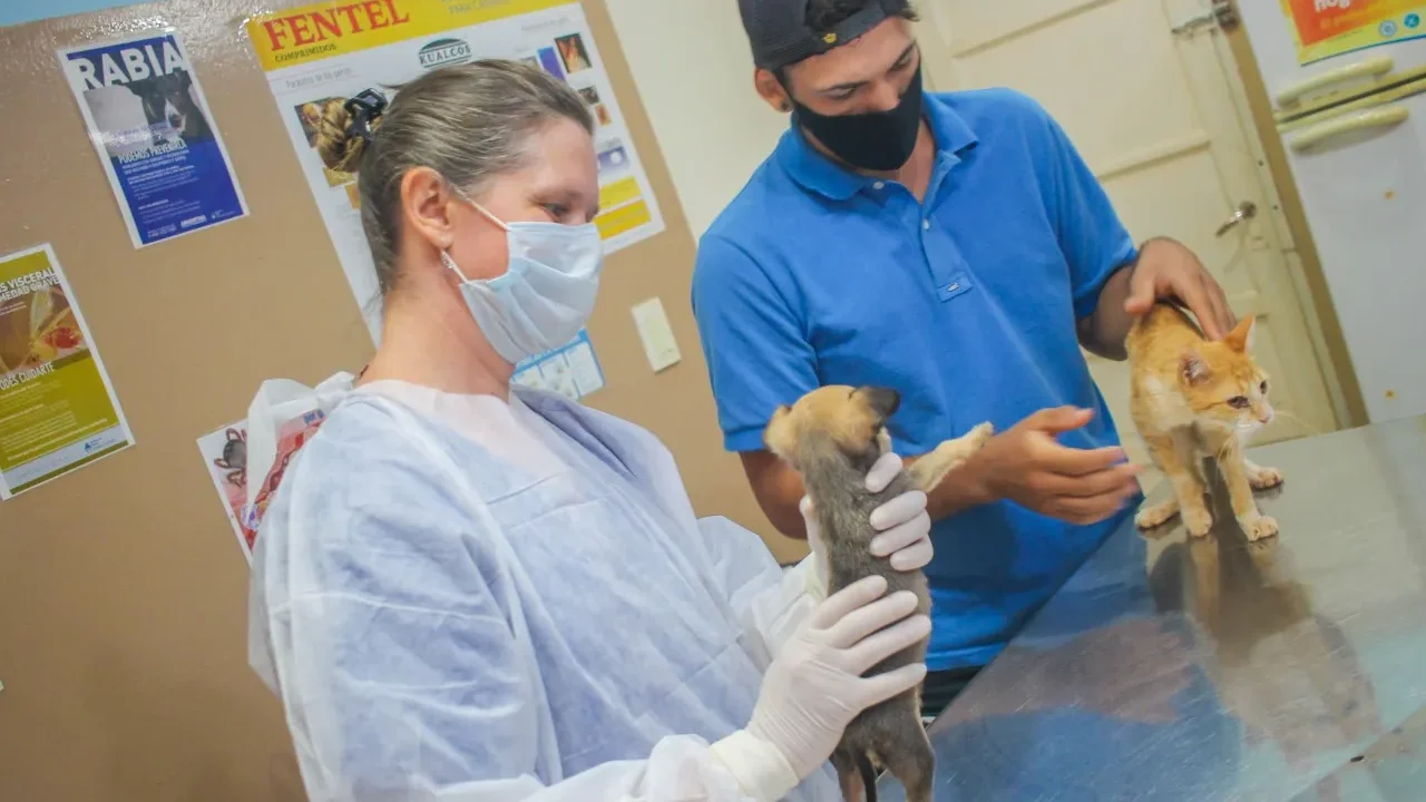 El IMuSA continúa acercando servicios veterinarios gratuitos