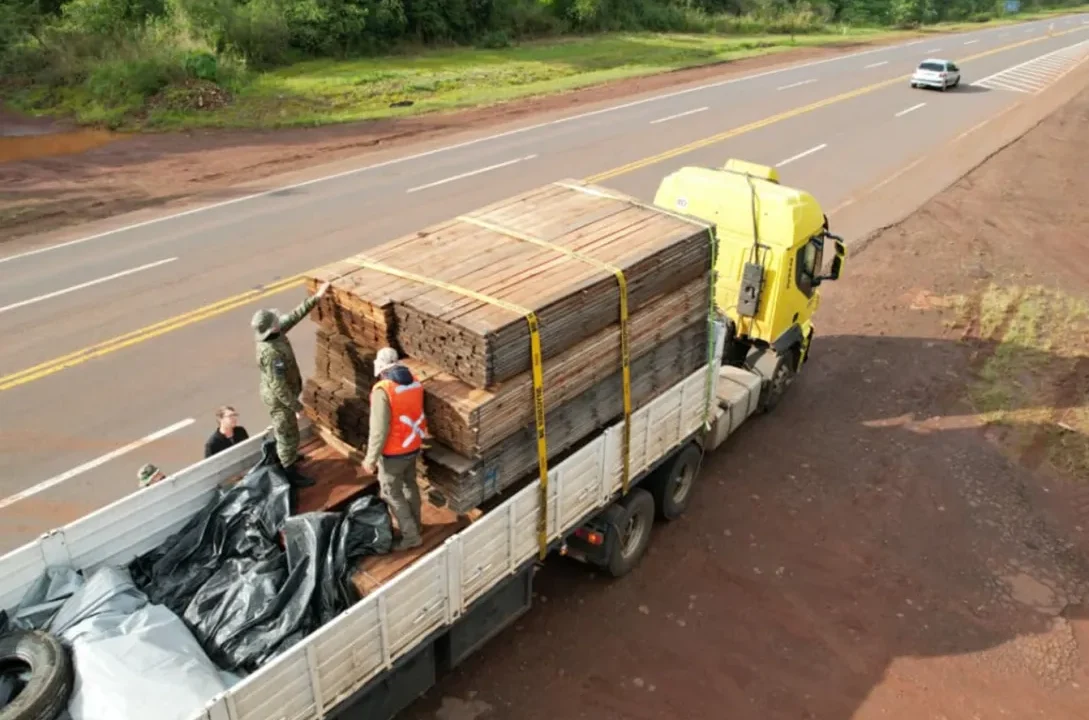 Ecología intensifica controles sobre el transporte de madera nativa en la zona norte de Misiones
