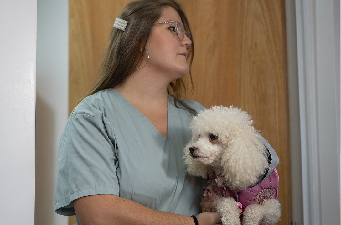 El IMuSA continúa con sus operativos veterinarios gratuitos en los barrios