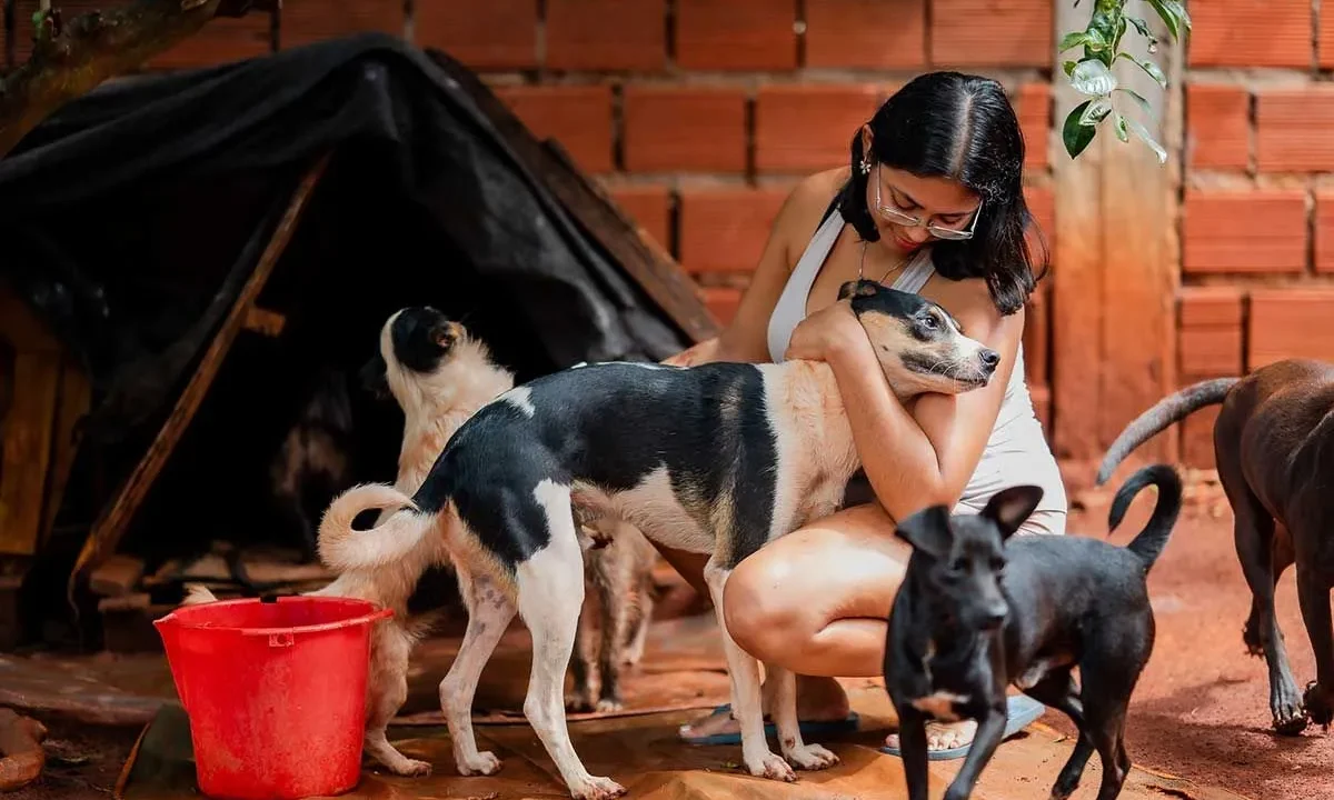 Patitas Misioneras pide ayuda para seguir rescatando perros y gatos en Posadas
