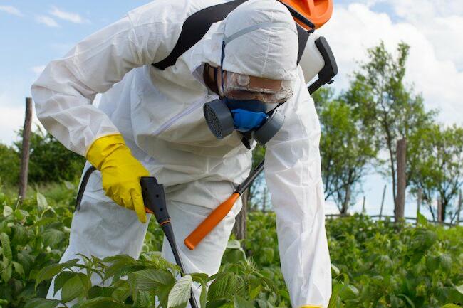 Tomó estado parlamentario el proyecto que modifica la prohibición del glifosato en Misiones