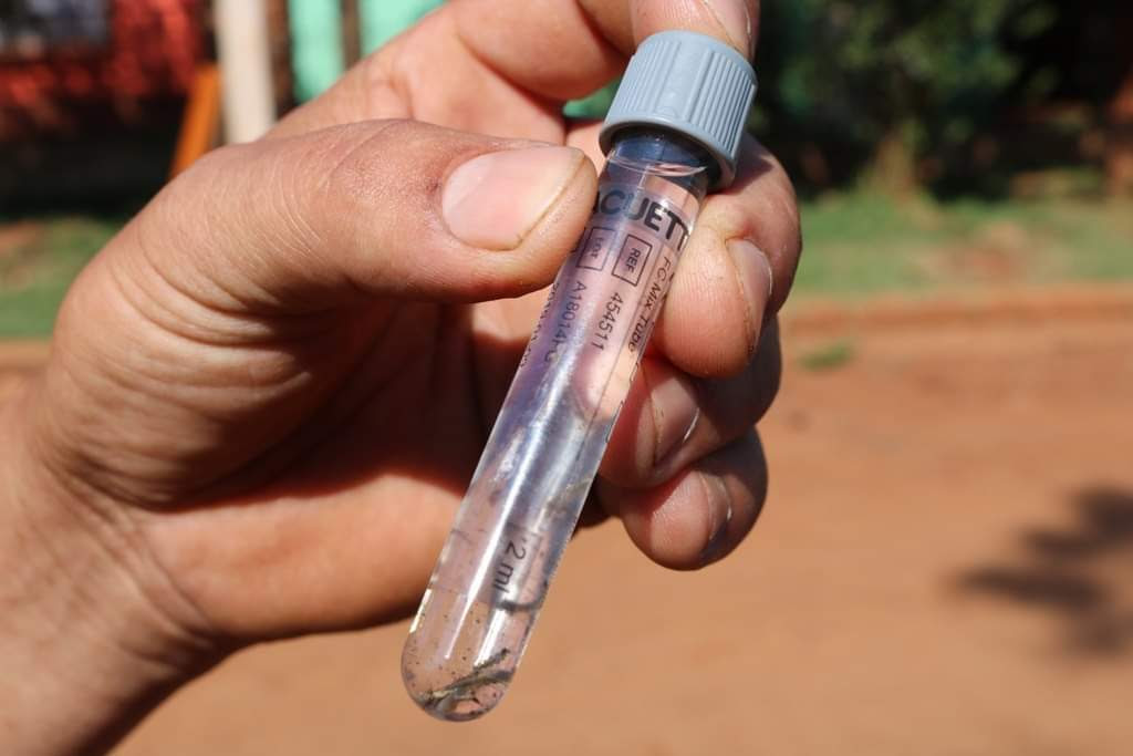 Posadas se prepara para medir el Aedes bajo el impacto de El Niño