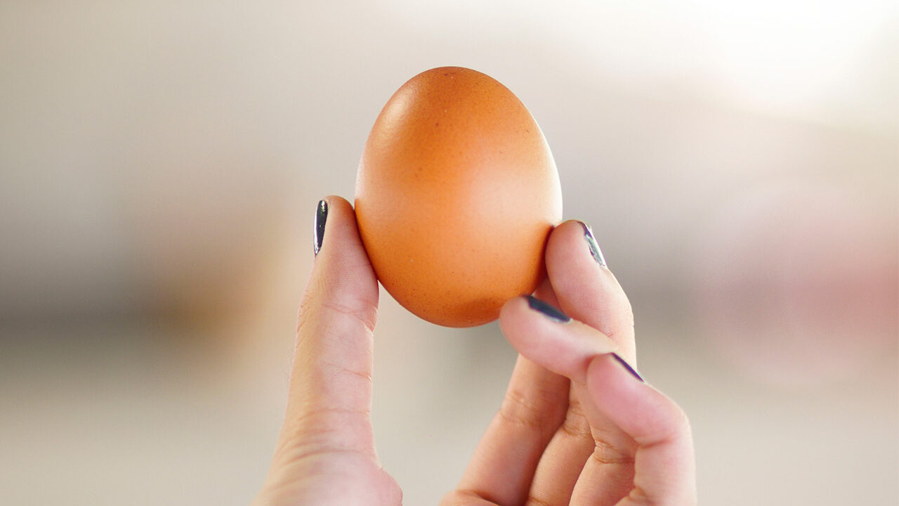 Masa muscular: ¿cuántos huevos por día recomiendan comer para aumentarla?